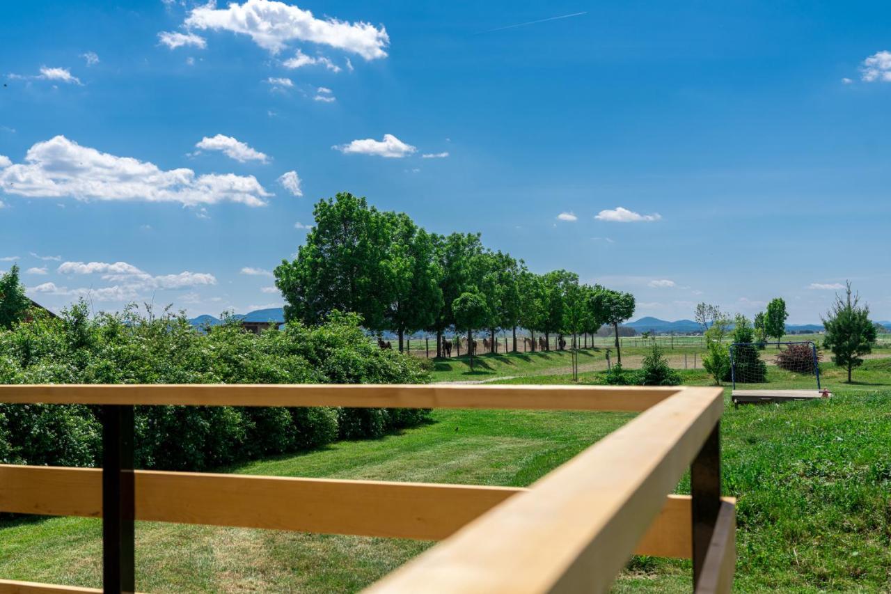 Horse Glamping Park Hotel Cirkovce Exterior photo
